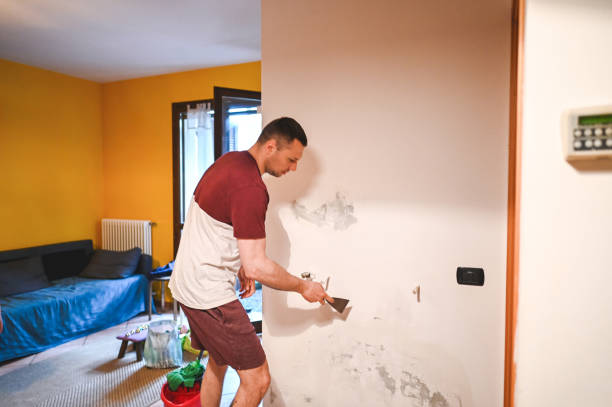 Best Toxic Mold Removal  in Dexter, NM
